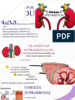 Metabolismo Exposicion