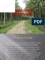 Plantaciones Forestales