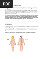 Anatomia Topográfica