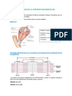 Fisiologia de La Contraccion Muscular