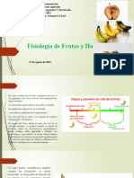 Continuación Sesión 27 Agosto - Fisiologia de Frutas y Verduras