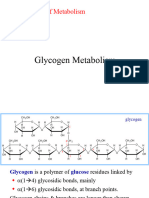 9 Glycogen 1