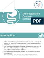 Coagulation Cascade