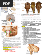 Tronco Encefalico