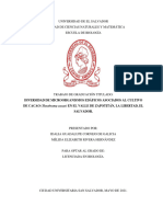 Diversidad de Microorganismos Edáficos Asociados Al Cultivo de Cacao (Theobroma Cacao) en El Valle de Zapotitán, La Libertad, El Salvador