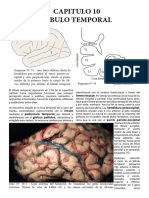 508-Texto Del Artículo-6313-1-10-20230316