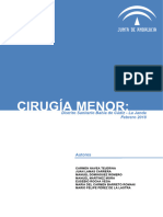 Protocolo de Cirugía Menor en AP - Distrito Sanitario Bahía de Cádiz