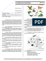 Lista Aula 5 Energia No Ecossistema