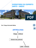 Sistema Articular.