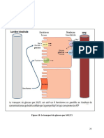 Biochimie Des Aliments PART 3