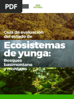 Guia de Eval de Ecosistema Bosque Montano Web