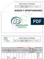 Es-003 Matriz de Riesgos y Oportunidades