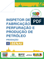 IF - PERFURAÇAO - Produçao