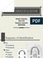 Tooth Identification