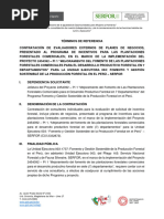 TDR - Expresion de Interes de Evaluadores Externos (R) (1) (F)