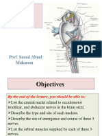 13-2nd, 3rd, 4th & 6th Cranial Nerves