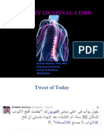 Spinal Cord Anatomy