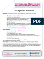 Reproduction Spectrum Square