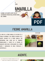 HNE Fiebre Amarilla