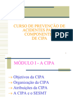 Treinamento Cipa