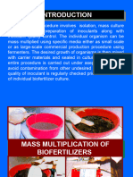 Mass Multiplication of Biofertilizers