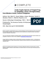 A New, Morphologically Cryptic Species of Fanged Frog, Genus Limnonectes From Mindoro Island, Central Philippines