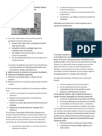 Prueba de Icfes Ciencias Sociales Grado Undecimo Simulacro Instruimos 2018