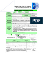 Plan FIGURAS Saberes y Pensamiento Cientifico