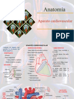 Sistema Cardiovascular