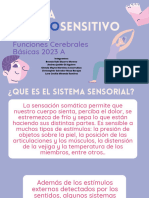 Sistema Somatosensitivo