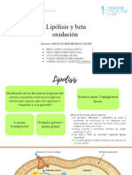 Lipólisis y Beta Oxidación