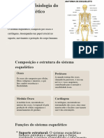 Sistema Esquelético