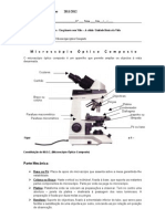 Ficha Informativa Nº 3 - Microscópio Óptico