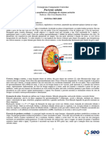 6 - Bases Anatômicas e Fisiologia Do Sistema Urinário