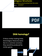 Biological Evidence For Evolution