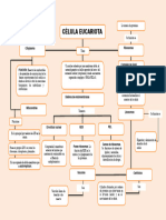 Mapa Conceptual de La Celula Eucariota 2