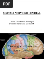 Presentación Sistema Nervioso Central. 2