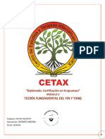 Modulo 2 Diplomado Acupuntura Teoria Del Yin-yangCETAX