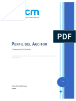 7 Perfil Del Auditor