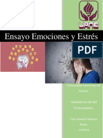 Ensayo Emociones y Estrés