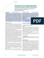 The Pathological Features of Cyclophosph