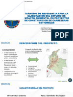 Terminos de Referencia EEA