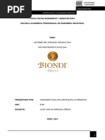 Informe de Proceso Productivo Biondi