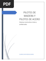 PILOTES DE MADERA y ACERO