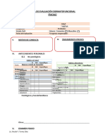 Ficha de Evaluación Dermatofuncional Facial 4