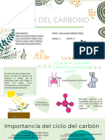 604021434-CICLO-DEL-CARBONO - PDF 20240428 203755 0000