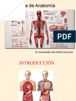 Clase 1 - Introducción A La Anatomía DR Kim