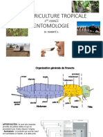 Entomologie Powerpoint Cours