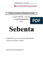 Capítulo III - O Processo de Gestão. Planeamento, Organização, Direção e Controlo.