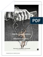 Psicologia Laboral y Organizacional